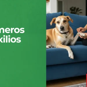 Primeros auxilios